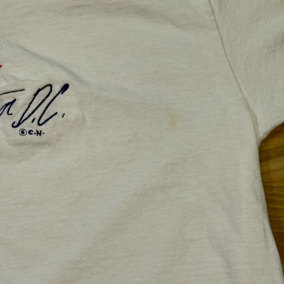 Vintage 90s Fruit of the Loom Washington D.C. Embroidered Flag USA T-Shirt L - Picture 5 of 5